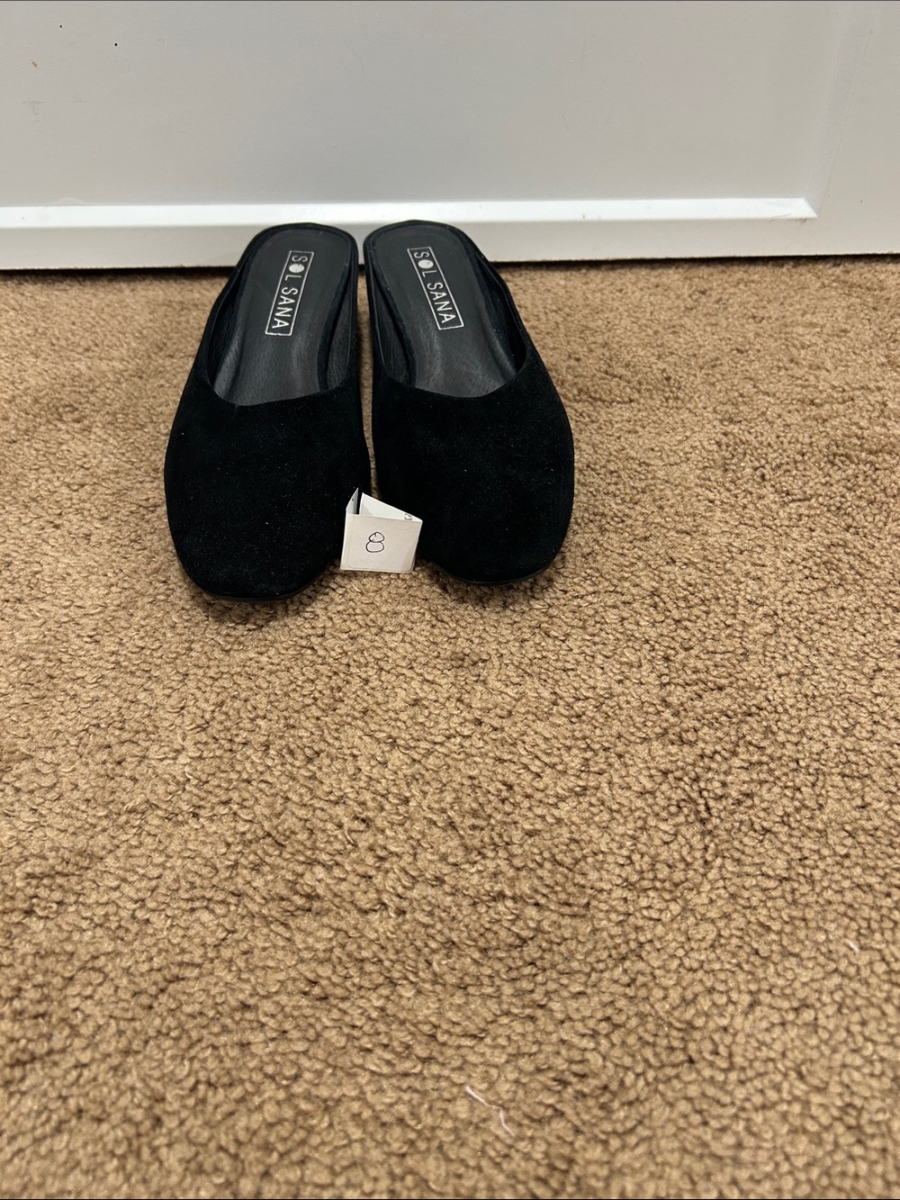 Sol Sana Black Suede Slip-On Mules
